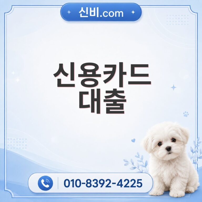 신용카드 대출