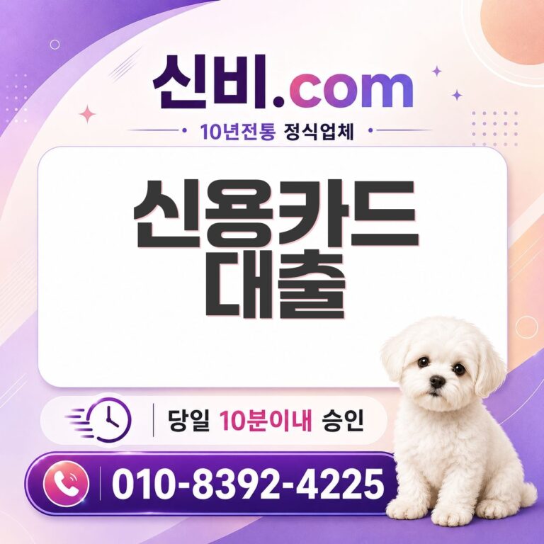 신용카드 대출