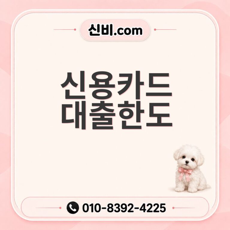 신용카드 대출 한도