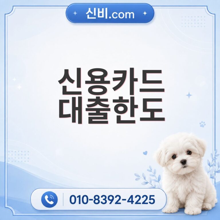 신용카드 대출 한도