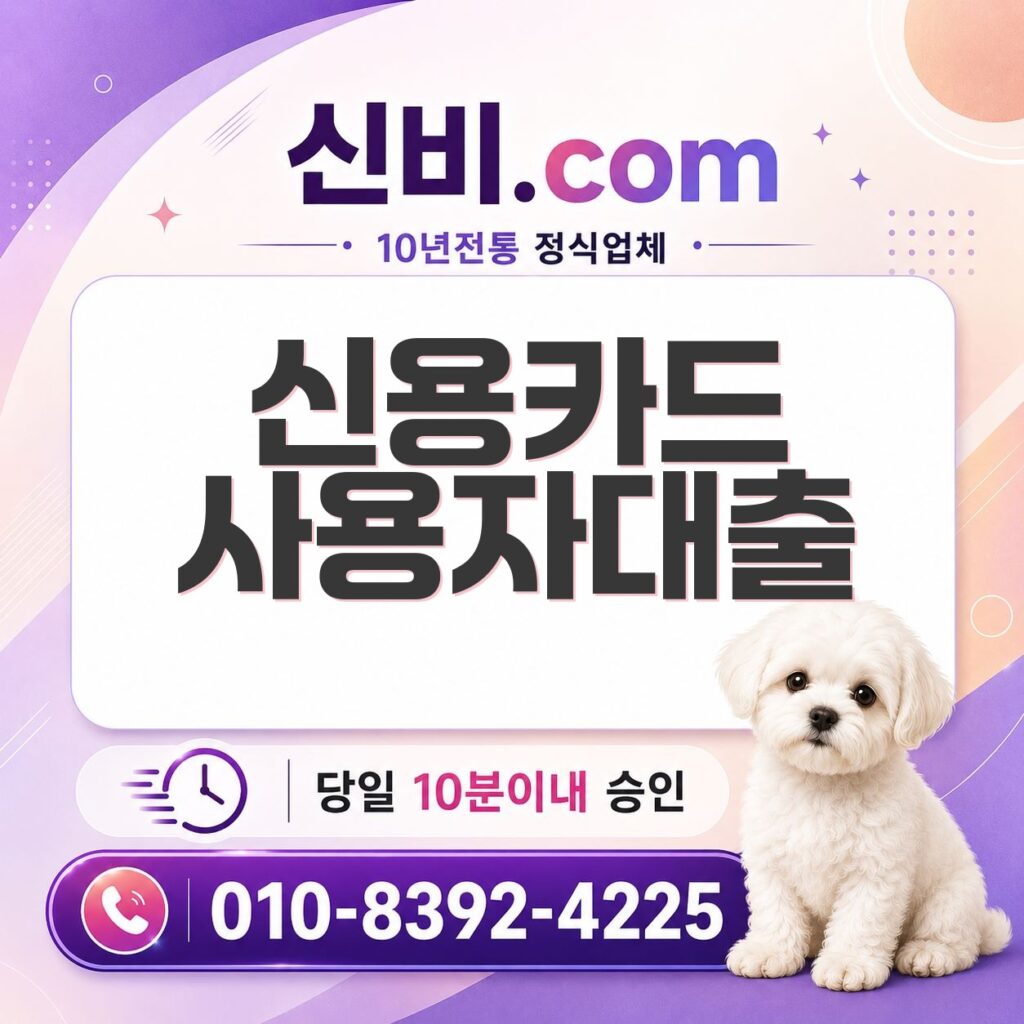 신용카드 사용자 대출