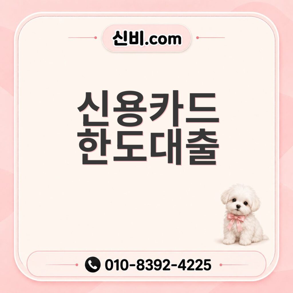 신용카드 한도 대출
