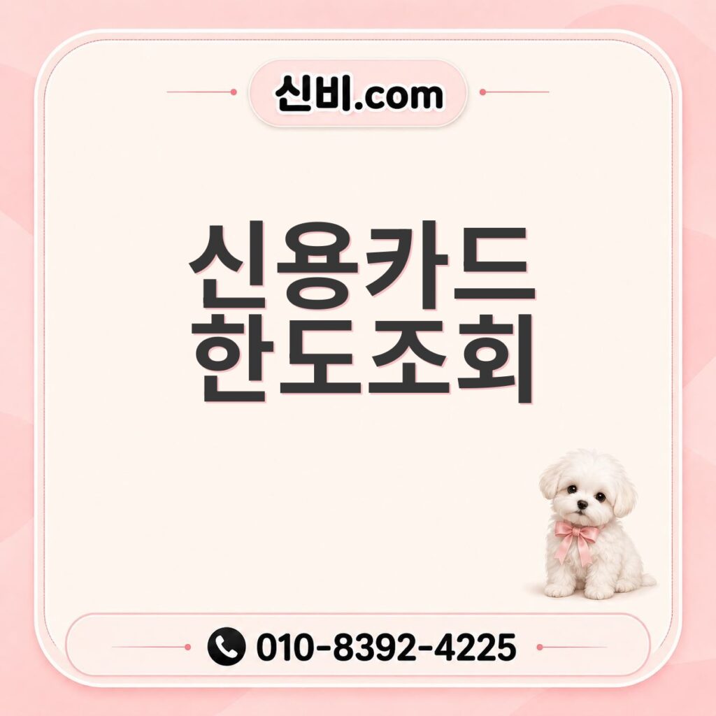 신용카드 한도 조회