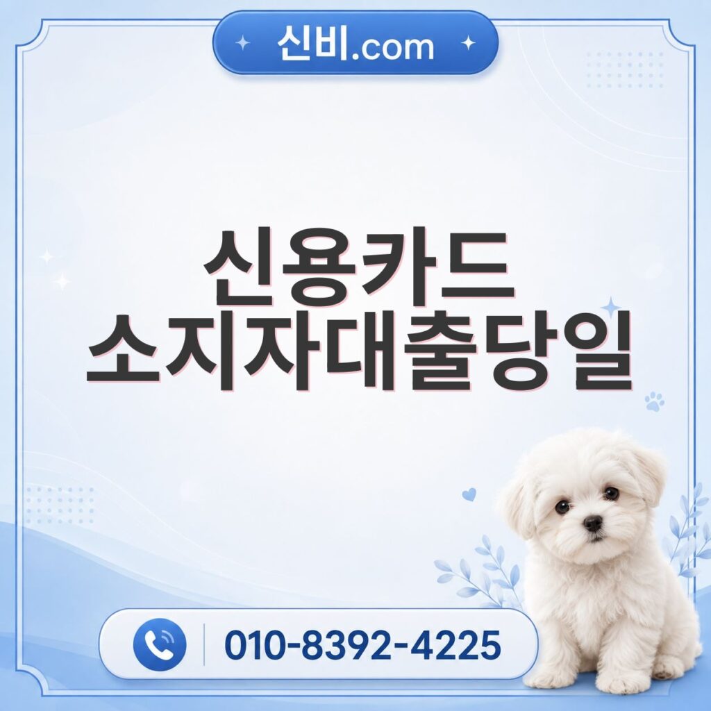 신용카드소지자대출 당일