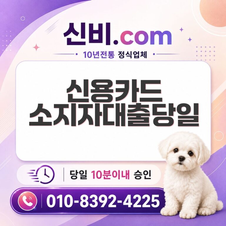 신용카드소지자대출 당일
