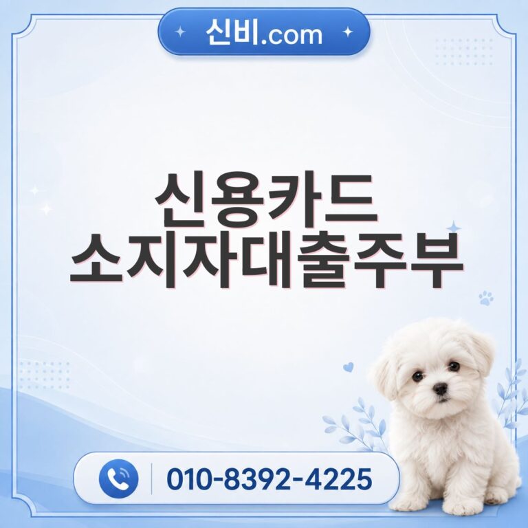 신용카드소지자대출 주부