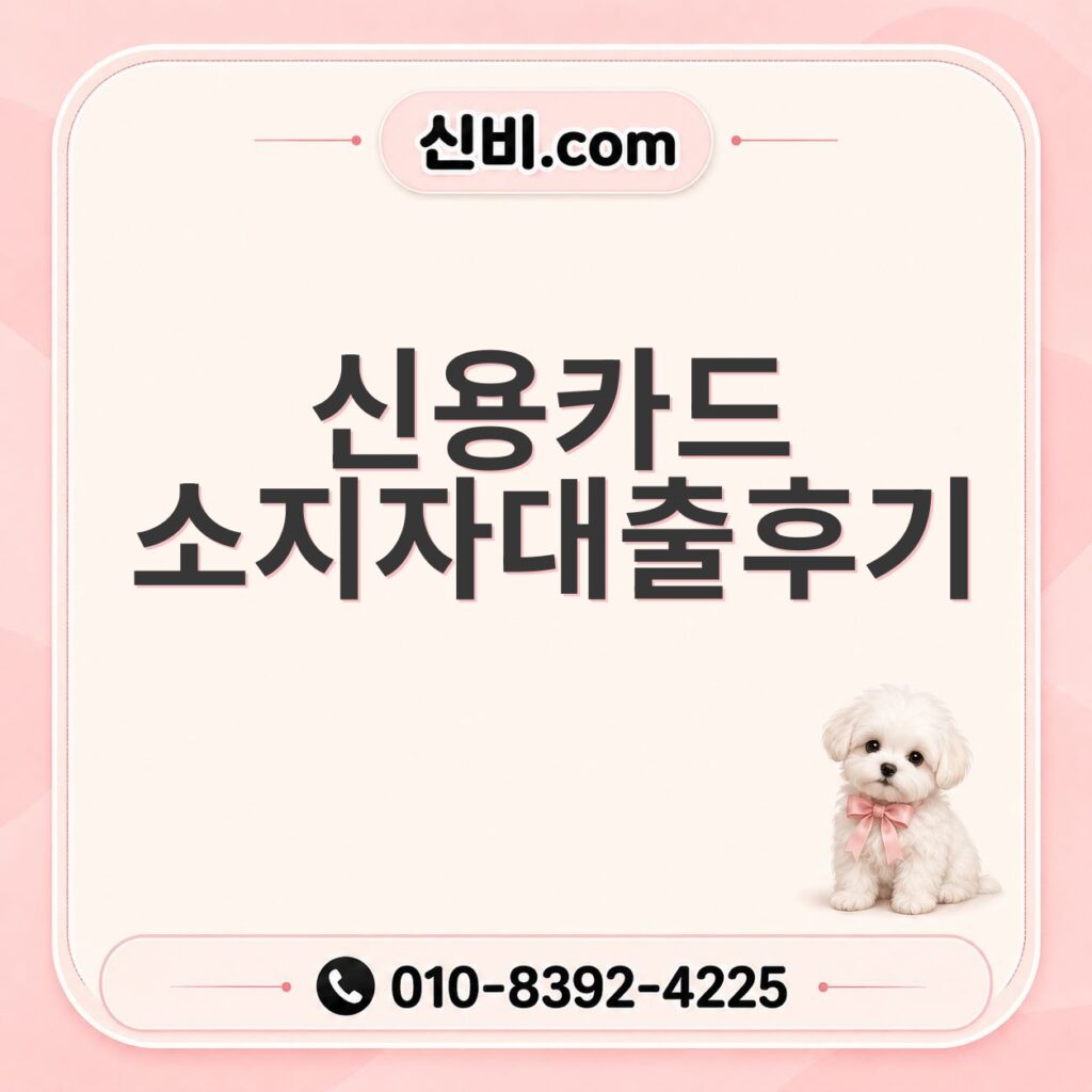 신용카드소지자대출 후기