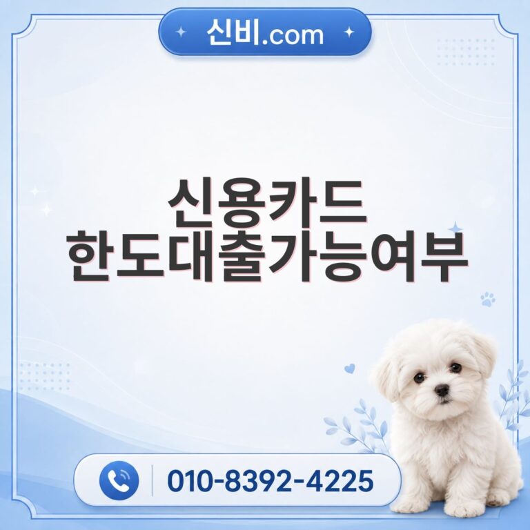 신용카드한도대출 가능여부