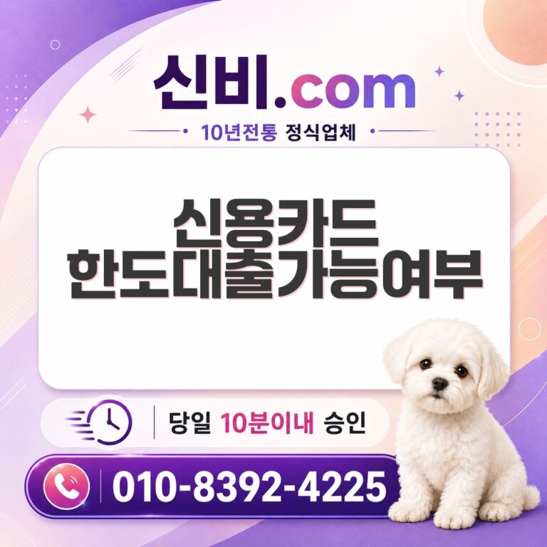 신용카드한도대출 가능여부