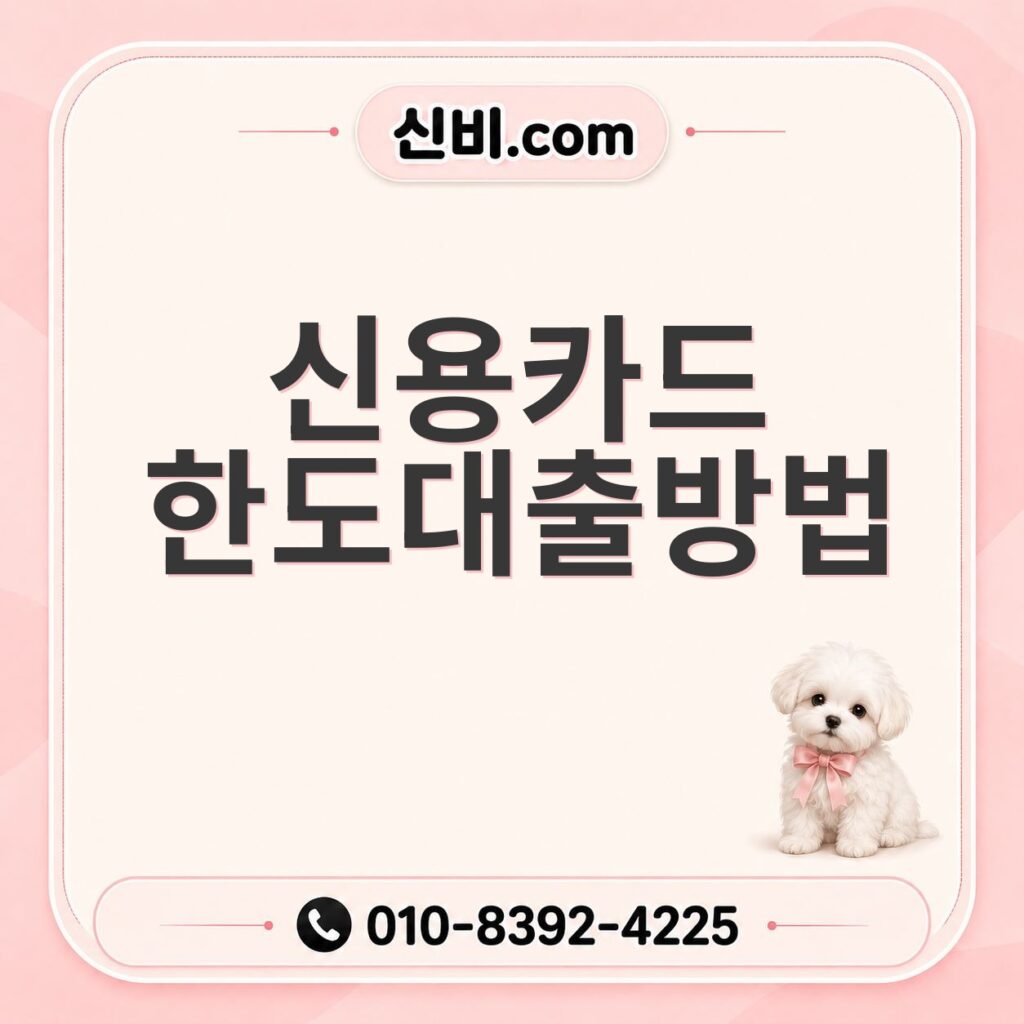 신용카드한도대출 방법