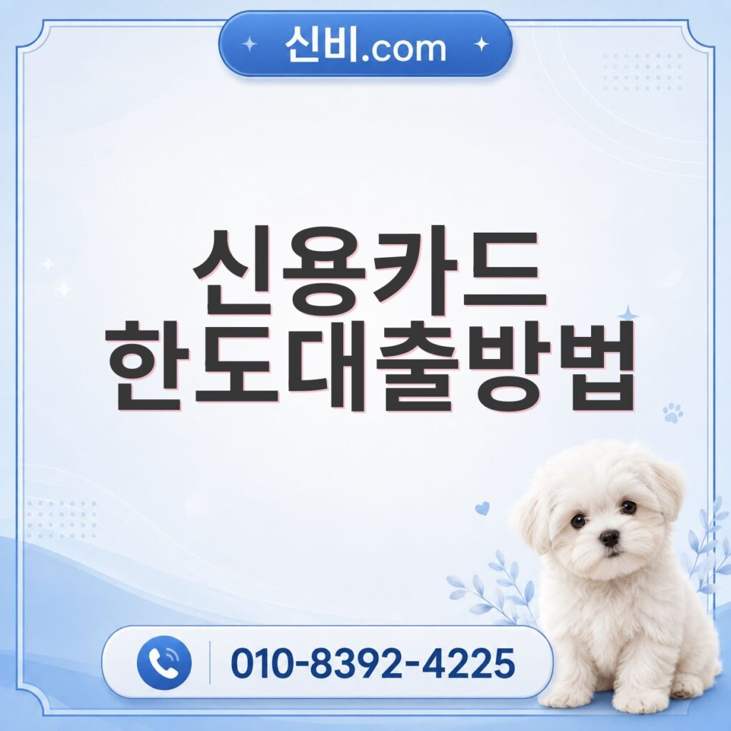 신용카드한도대출 방법