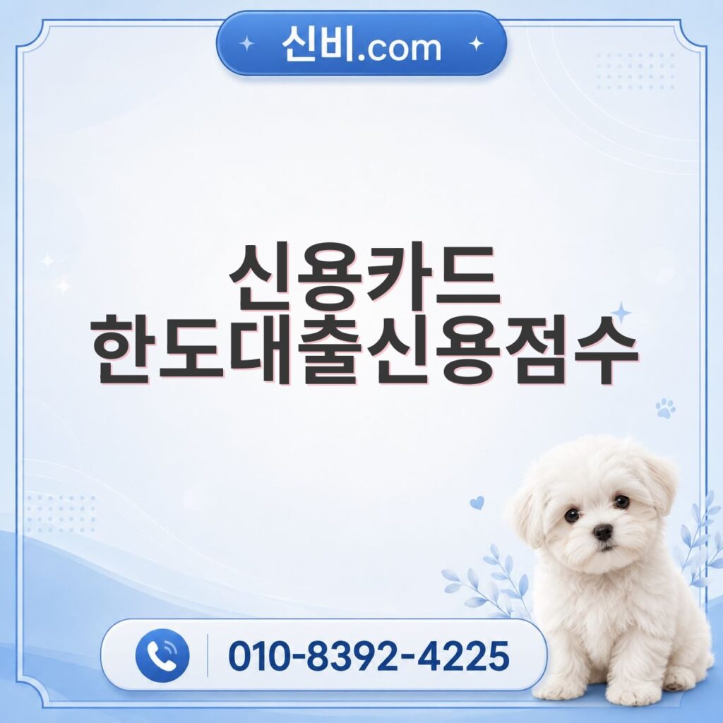 신용카드한도대출 신용점수