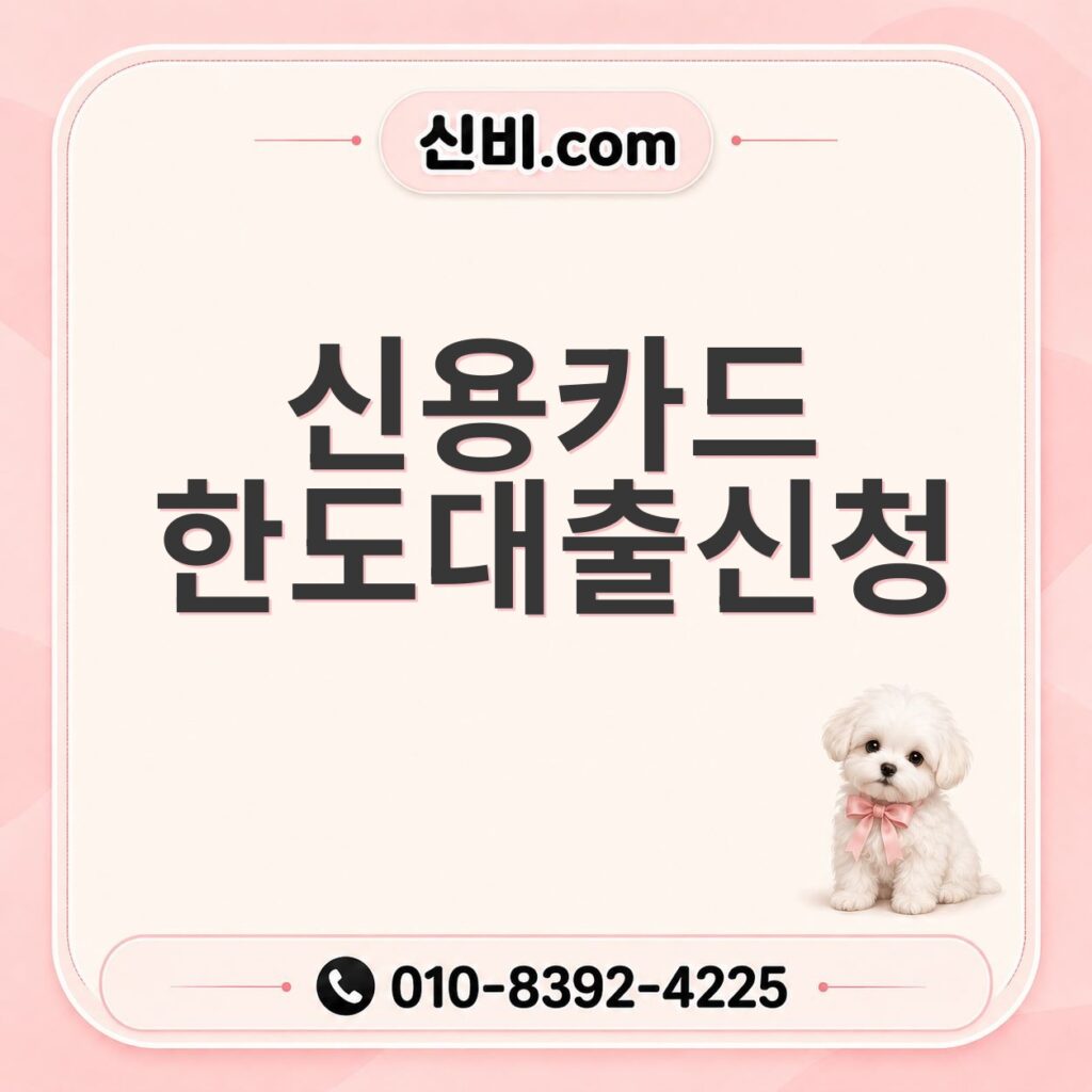 신용카드한도대출 신청