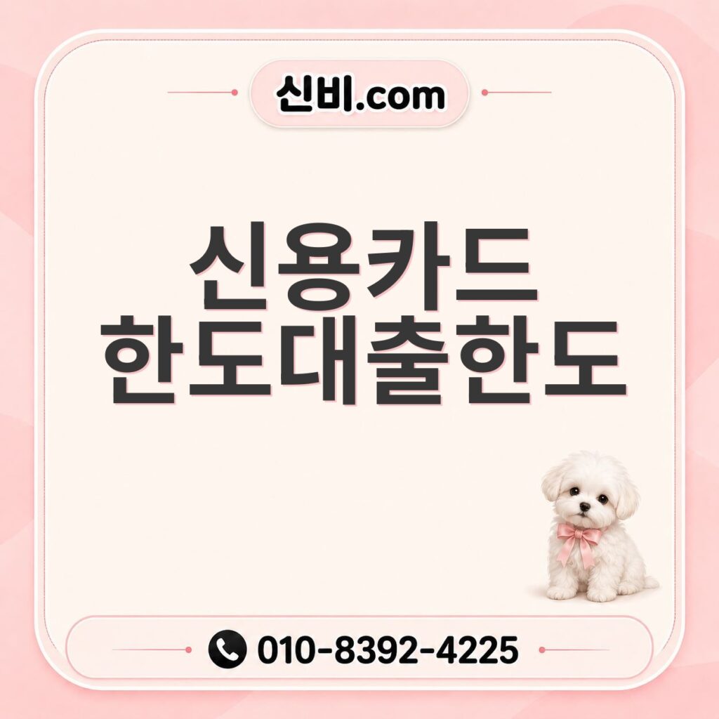 신용카드한도대출 한도