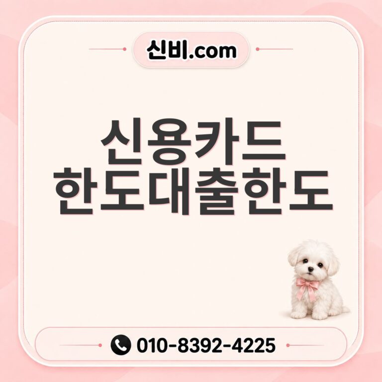 신용카드한도대출 한도
