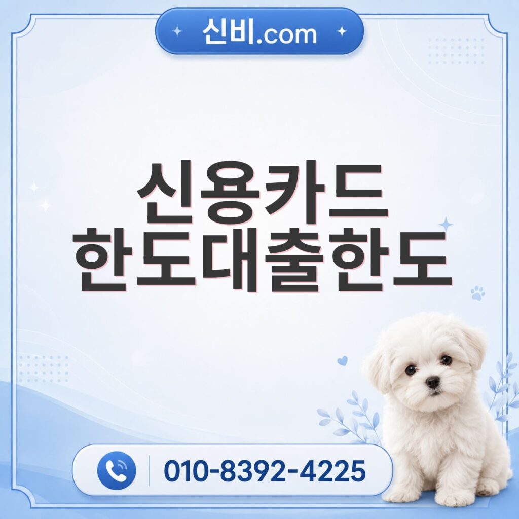 신용카드한도대출 한도