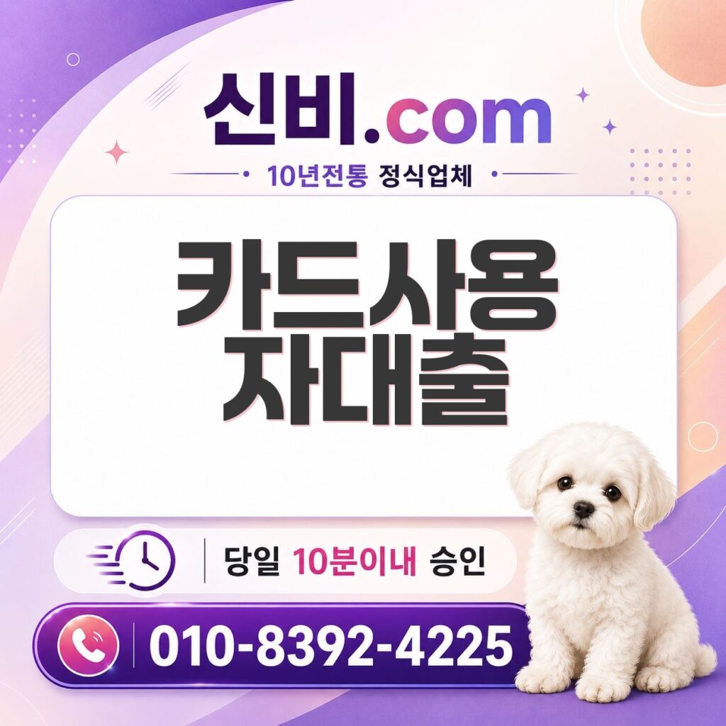 카드사용자 대출
