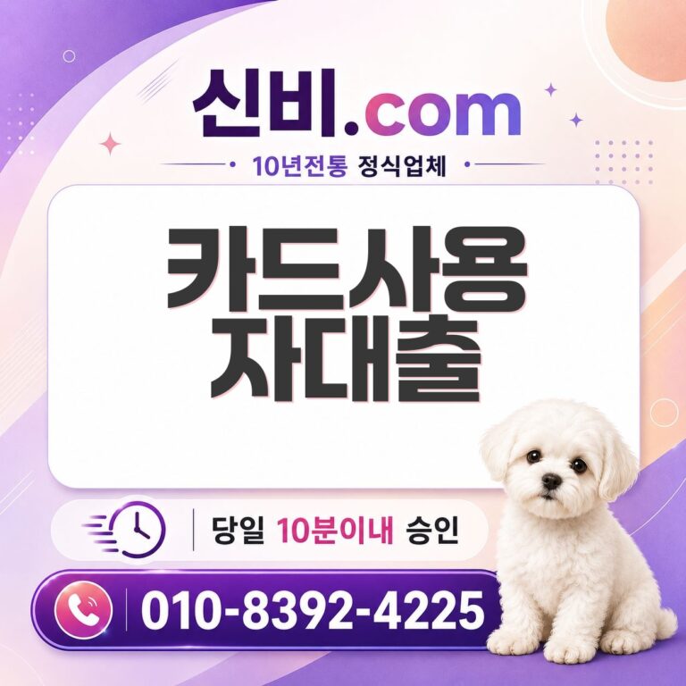 카드사용자 대출